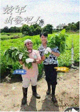 跨界挑战